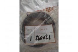 260021 BELT BITELLI